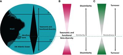 Taxonomic and functional diversity of zooxanthellate corals and hydrocorals in Southwestern Atlantic reefs